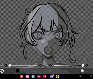CA WIP